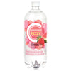 COMP SPRK FIZZY S/BRY WTRMLN W
