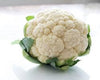Cauliflower Cello, 1 Ct