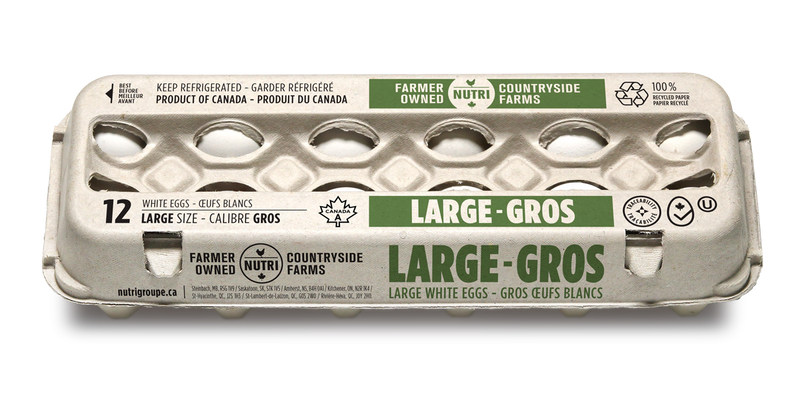 COUNTRYSIDE LARGE EGG`S [12 pcs]