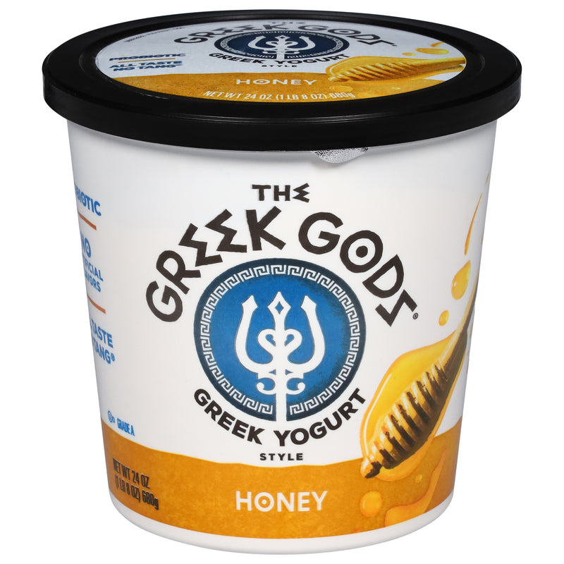 GREEK GODS STYLE YOGURT [650 g]