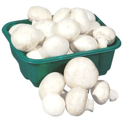CHAMP ORG WH WHITE MUSHROOMS [227 g]