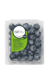 FRESH BLUEBERRIES [170 g]