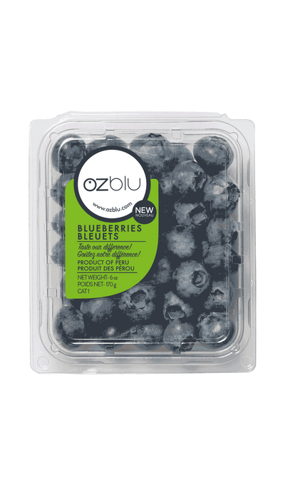 FRESH BLUEBERRIES [170 g]