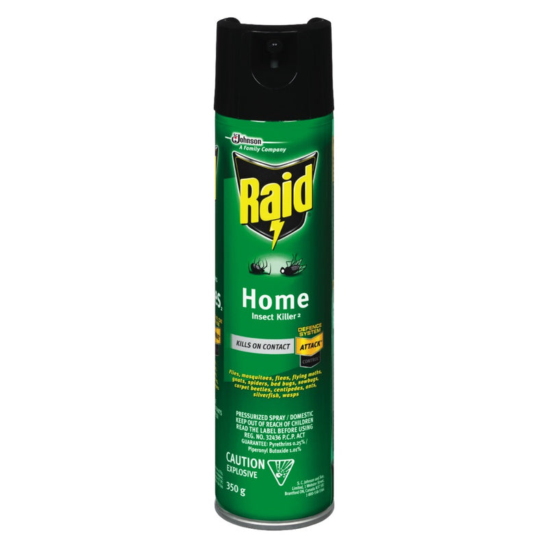 RAID HOME INSECT KILLER [350 g]