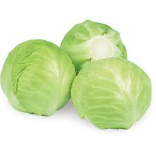 FRESH CABBAGE
