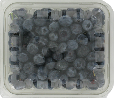 FRESH BLUEBERRIES 1 PINT [551 ml]