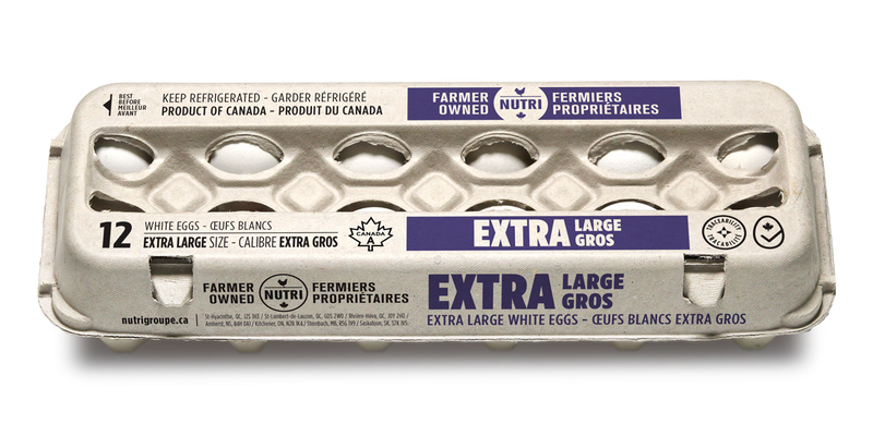 COUNTRYSIDE EXTRA LGE EGGS [1 EA]