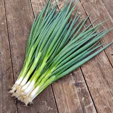 GREEN ONIONS USA GR [1 ea]