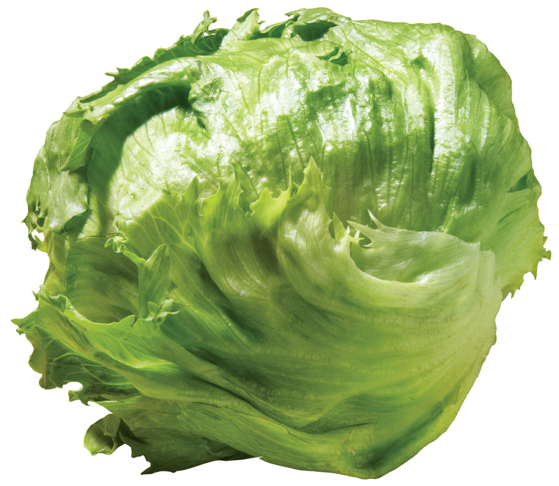 HEAD CELLO LETTUCE [1 ea]