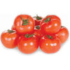 HOT HOUSE      TOMATOES