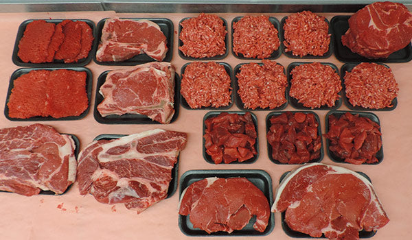 #11 ALL BEEF MEAT PAC [26 lb]