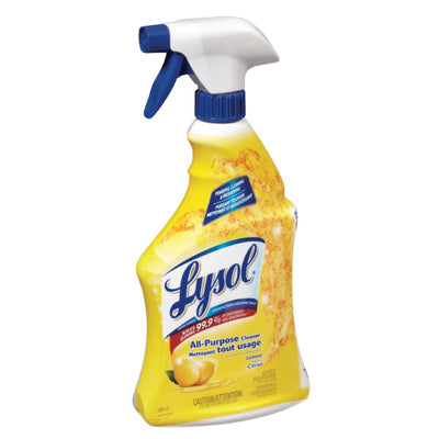 LYSOL ALL PURPOSE CLEANER [650 ml]