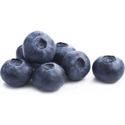 BERRY FRESH BLUEBERRIES 1 PINT [551 g]