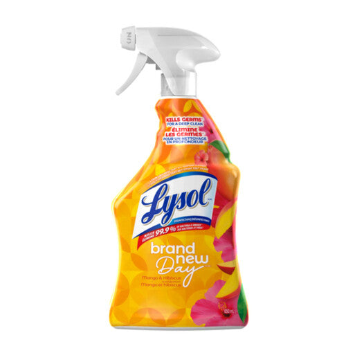 LYSOL CLRNR ALL PURP MANGO [650 ml]