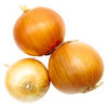 BULK LARGE YELLOW ONIONS