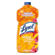 LYSOL MULTI PURPOSE NEW DAY [1.2 L]