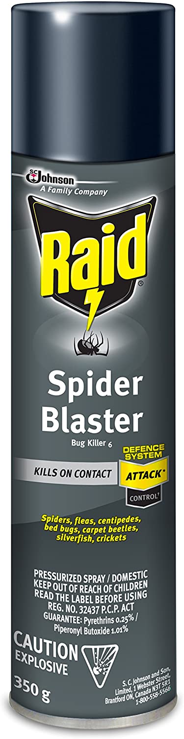 RAID SPIDER BLASTER [350 g]