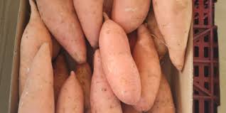 YAMS/SWEET POTATOES